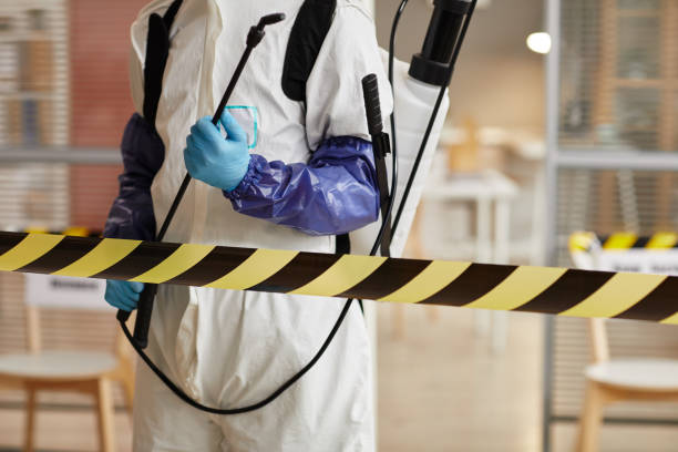 Professional Biohazard Cleanup technician working in Willow Grove, TX